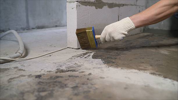 24/7 Emergency Crawl Space Encapsulation experts in Eagleville, TN